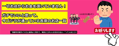 生 風俗|NS店の見分け方を解説！地域別のNS事情も紹介 